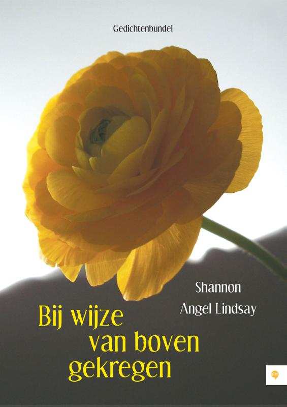 Omslag van Bij wijze van boven gekregen