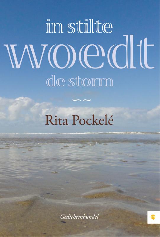 Omslag van In stilte woedt de storm