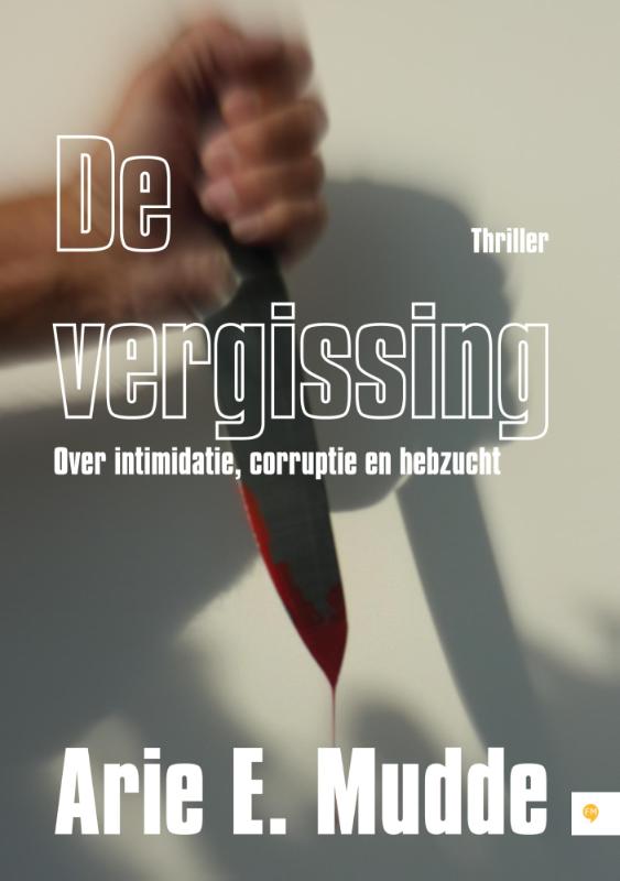 Omslag van De vergissing
