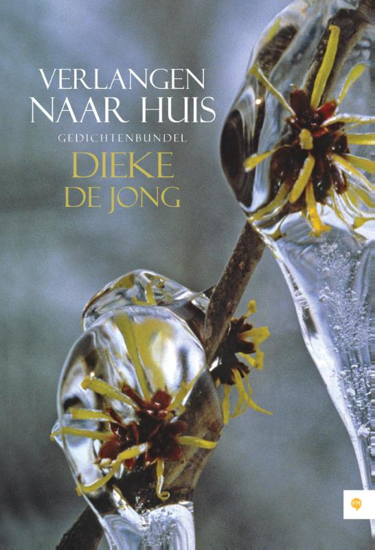 Omslag van Verlangen naar huis