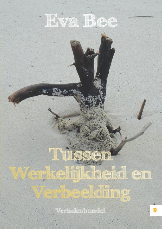 Omslag van Tussen werkelijkheid en verbeelding
