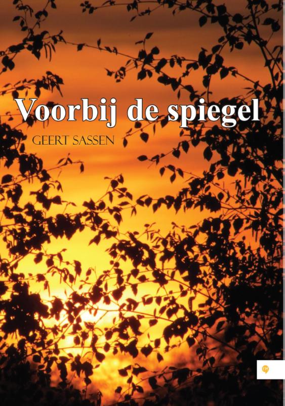 Omslag van Voorbij de spiegel