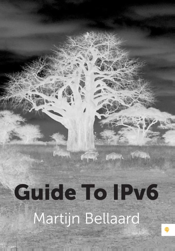 Omslag van Guide To IPv6