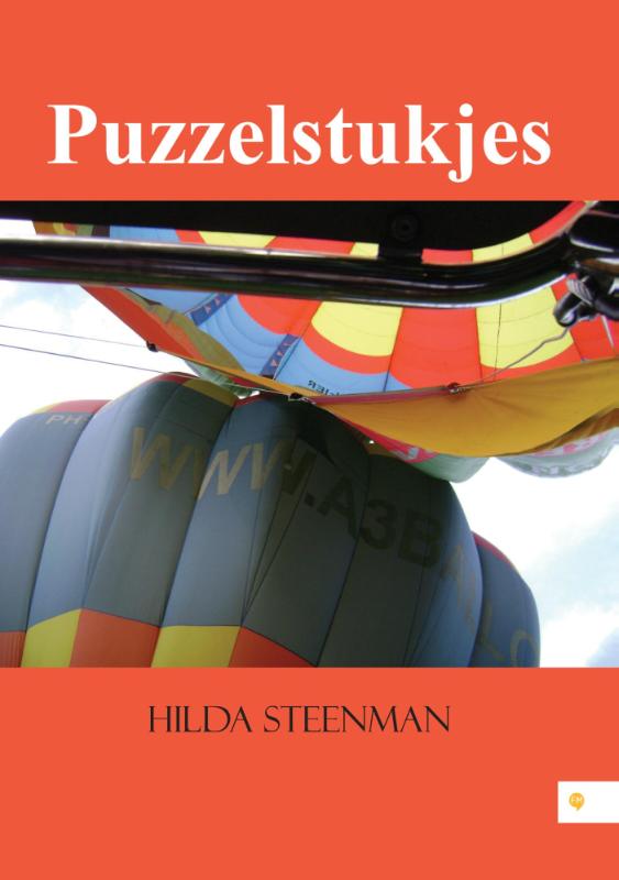 Omslag van Puzzelstukjes