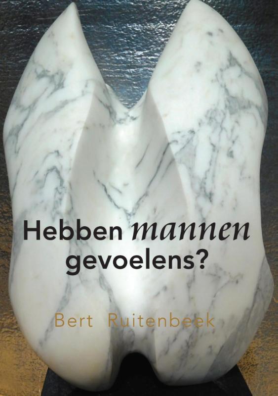 Omslag van Hebben mannen gevoelens?