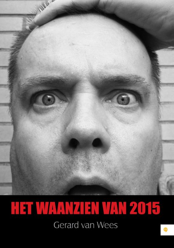 Omslag van Het waanzien van 2015