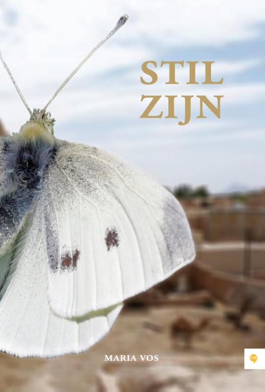 Omslag van Stil zijn