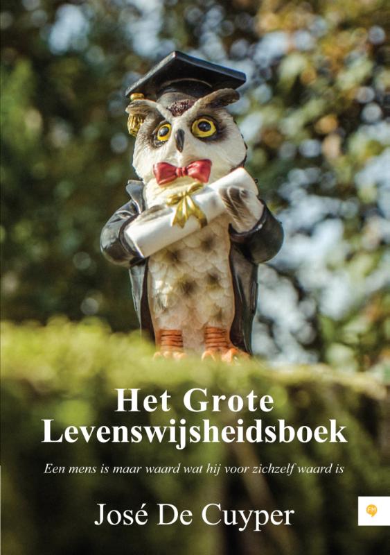 Omslag van Het grote levenswijsheidsboek