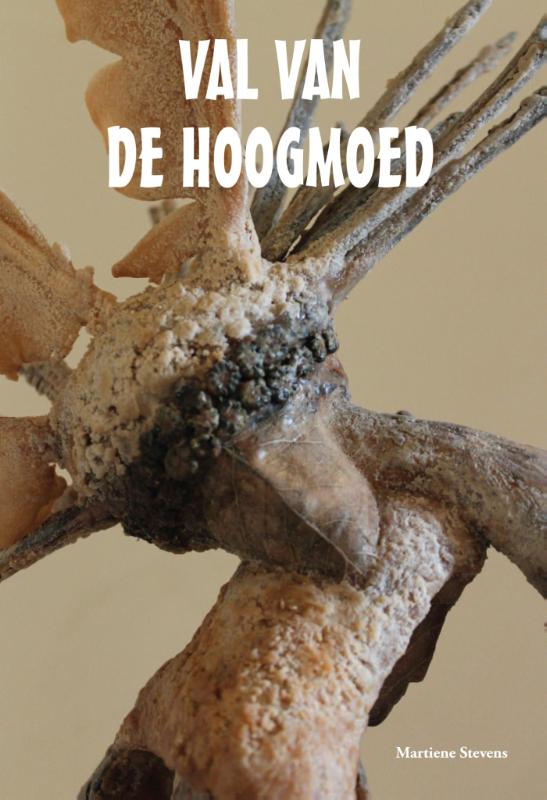 Omslag van Val van de Hoogmoed