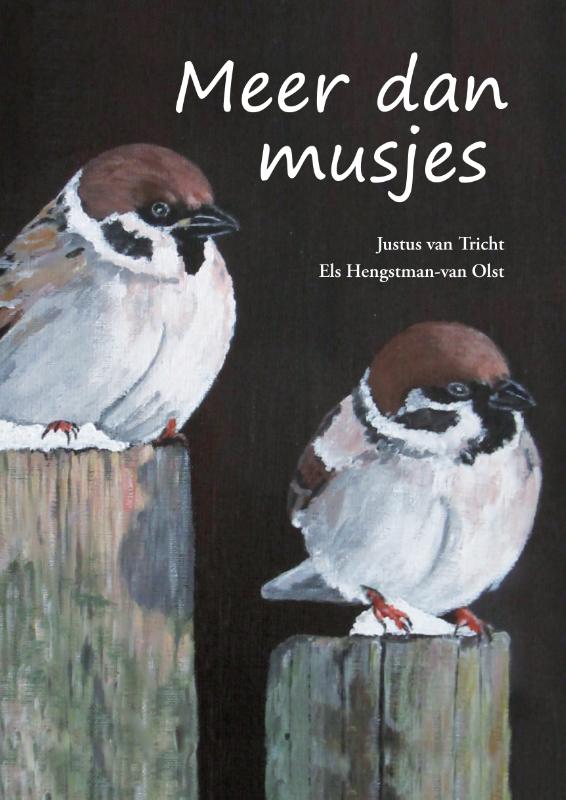 Omslag van Meer dan musjes
