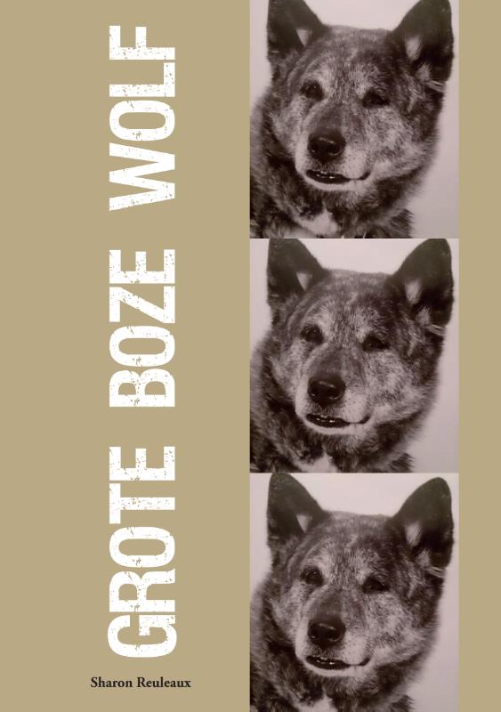 Omslag van Grote boze wolf