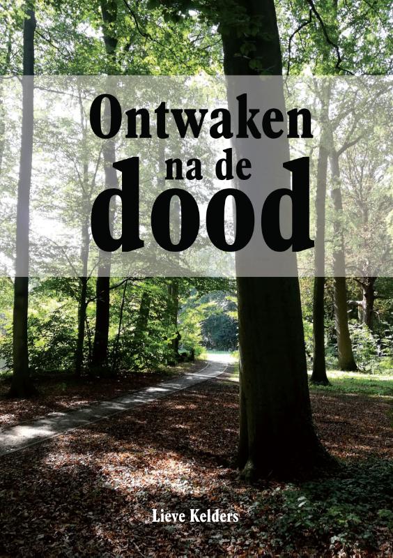 Omslag van Ontwaken na de dood
