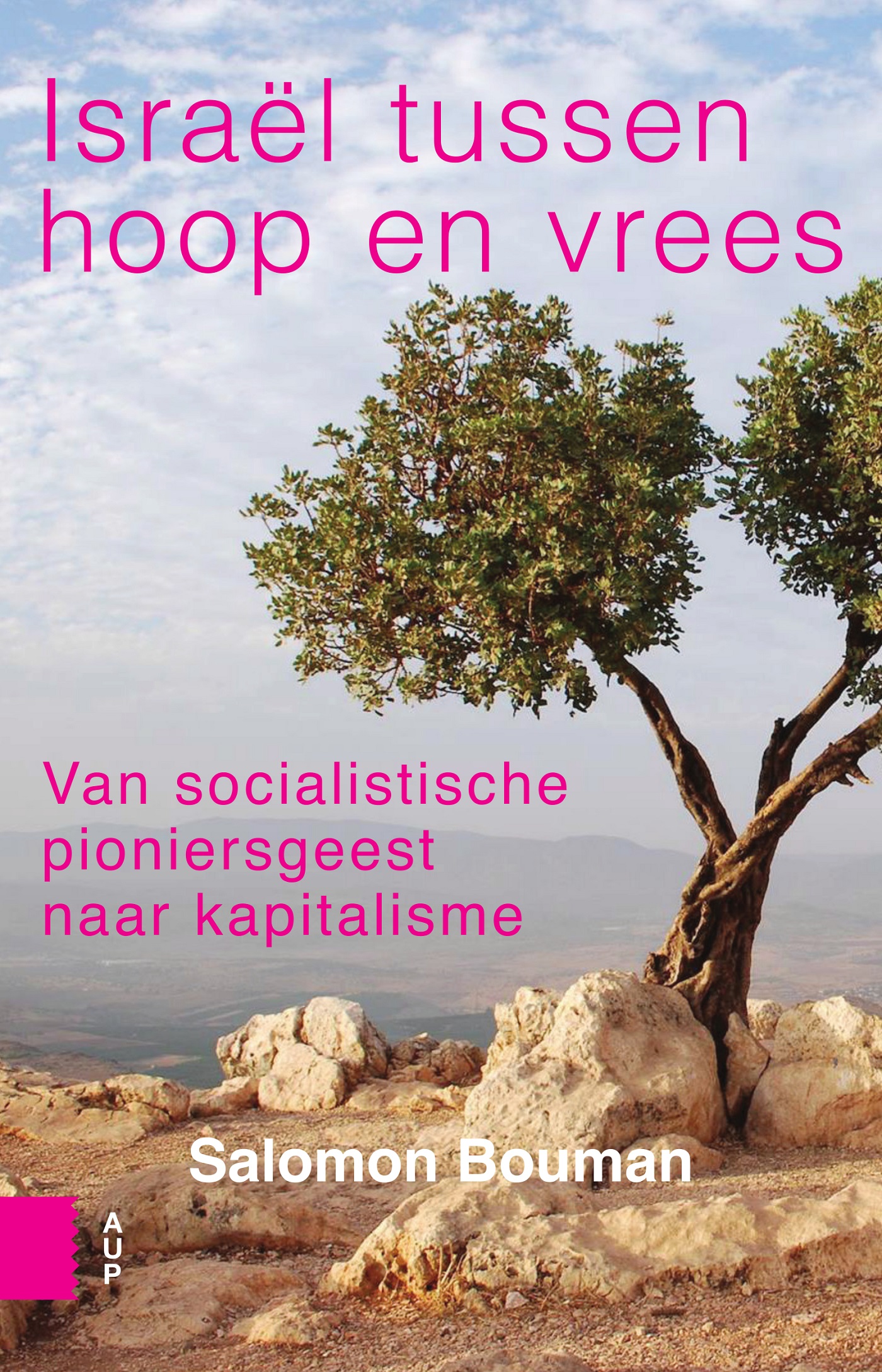 Omslag van Israël tussen hoop en vrees