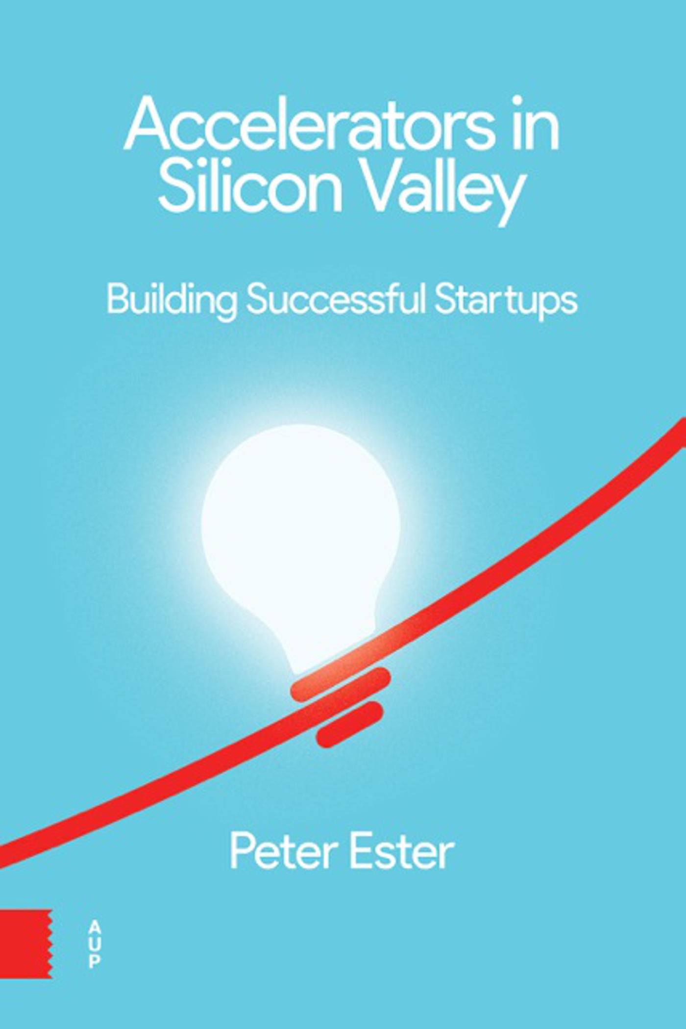 Omslag van Accelerators in Silicon Valley:
