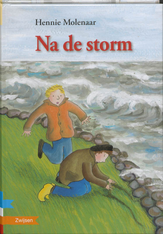 Omslag van Na de storm