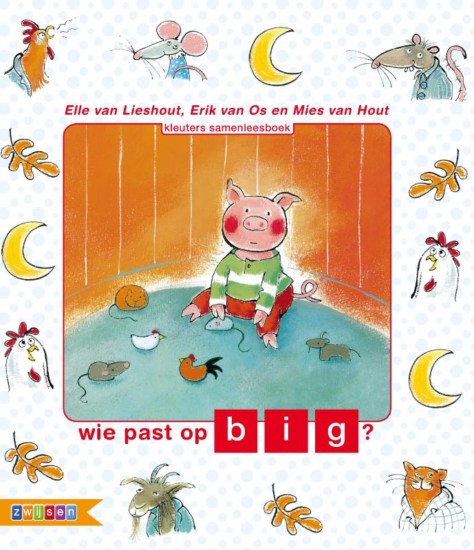 Omslag van Wie past op big?