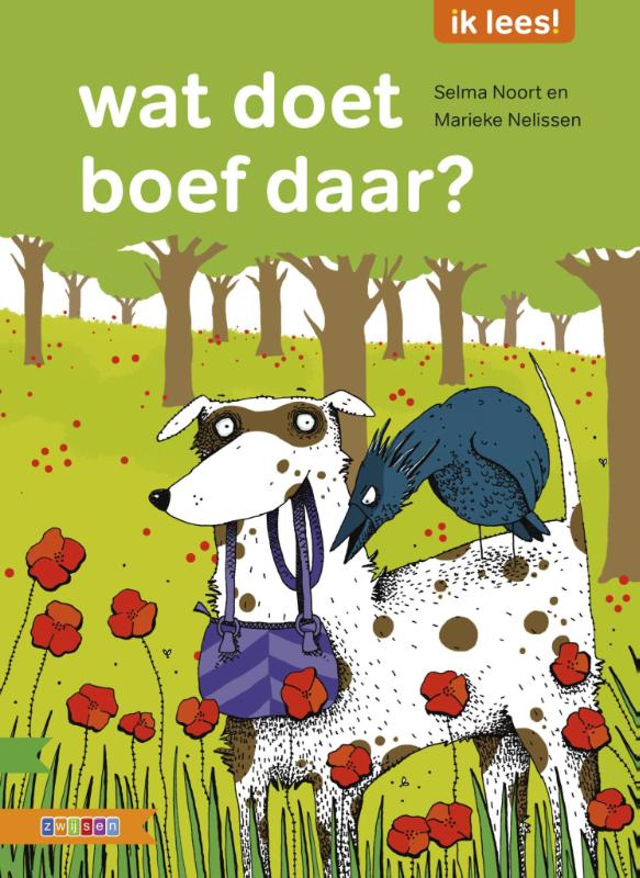Omslag van Wat doet boef daar?