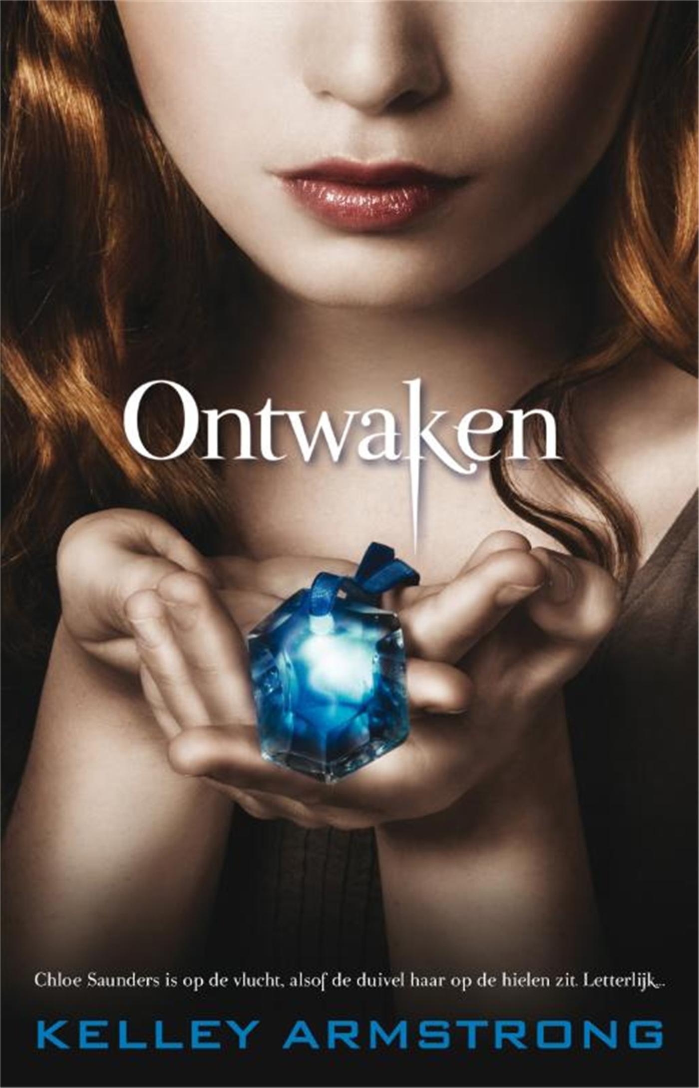 Omslag van Ontwaken