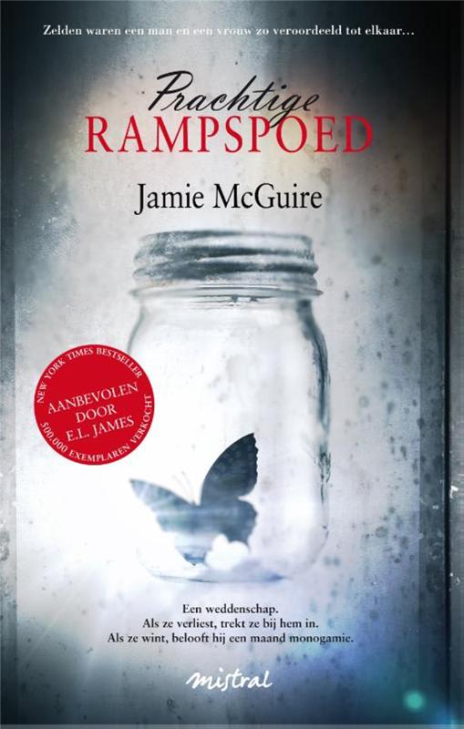 Omslag van Prachtige rampspoed