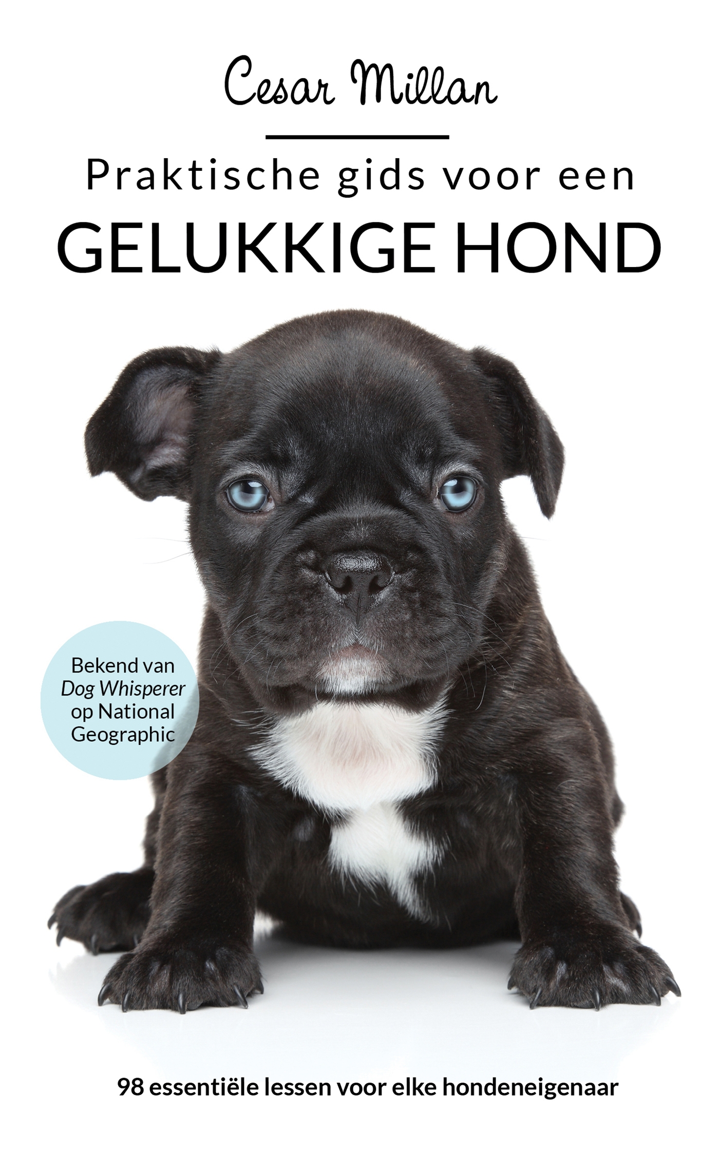 Omslag van Praktische gids voor een gelukkige hond