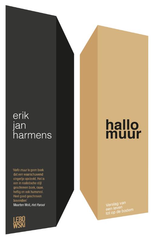 Omslag van Hallo, muur