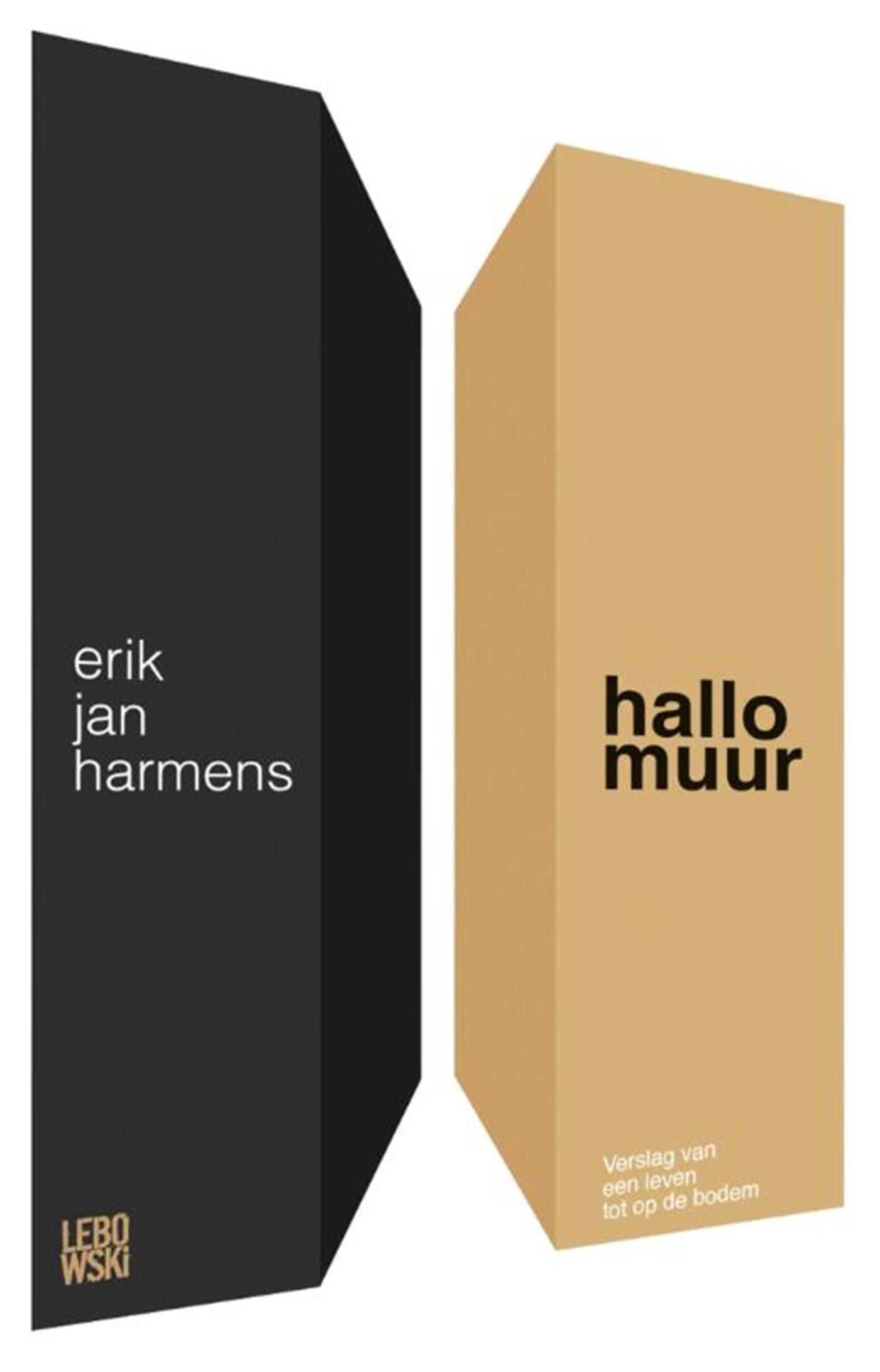 Omslag van Hallo muur