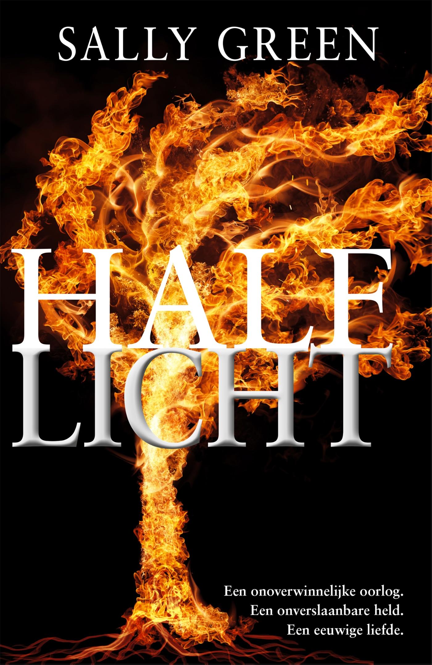 Omslag van Half licht
