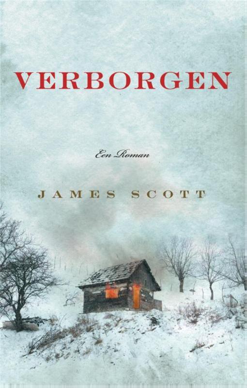 Omslag van Verborgen