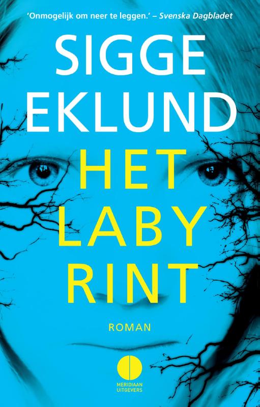 Omslag van Het labyrint