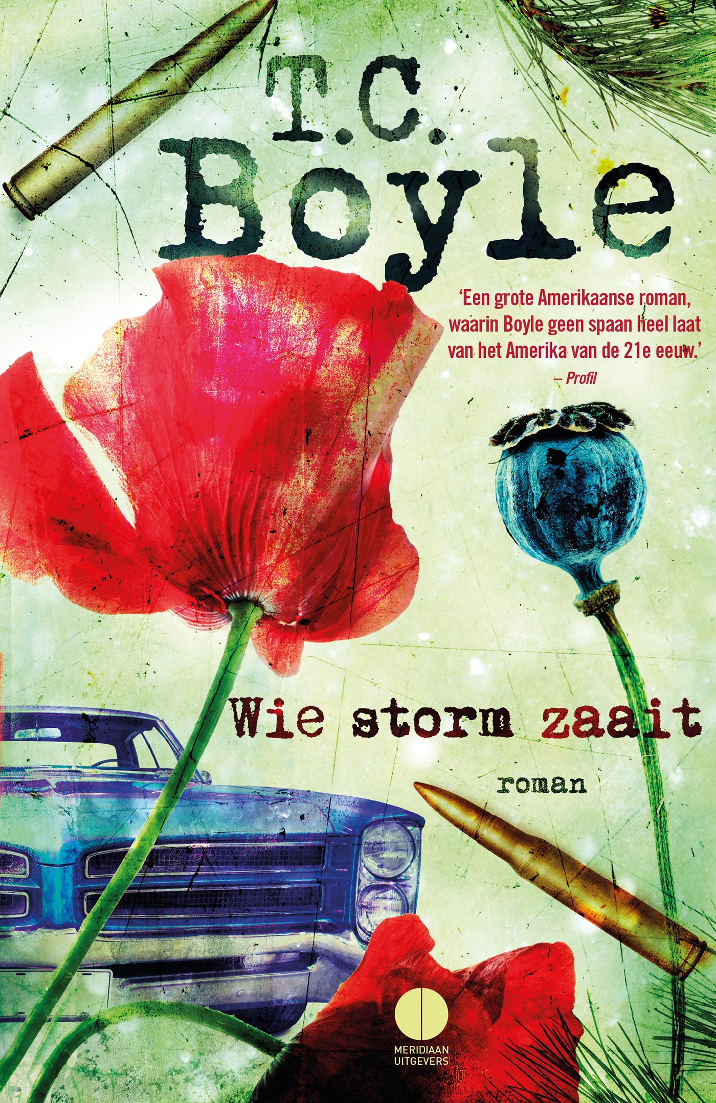 Omslag van Wie storm zaait