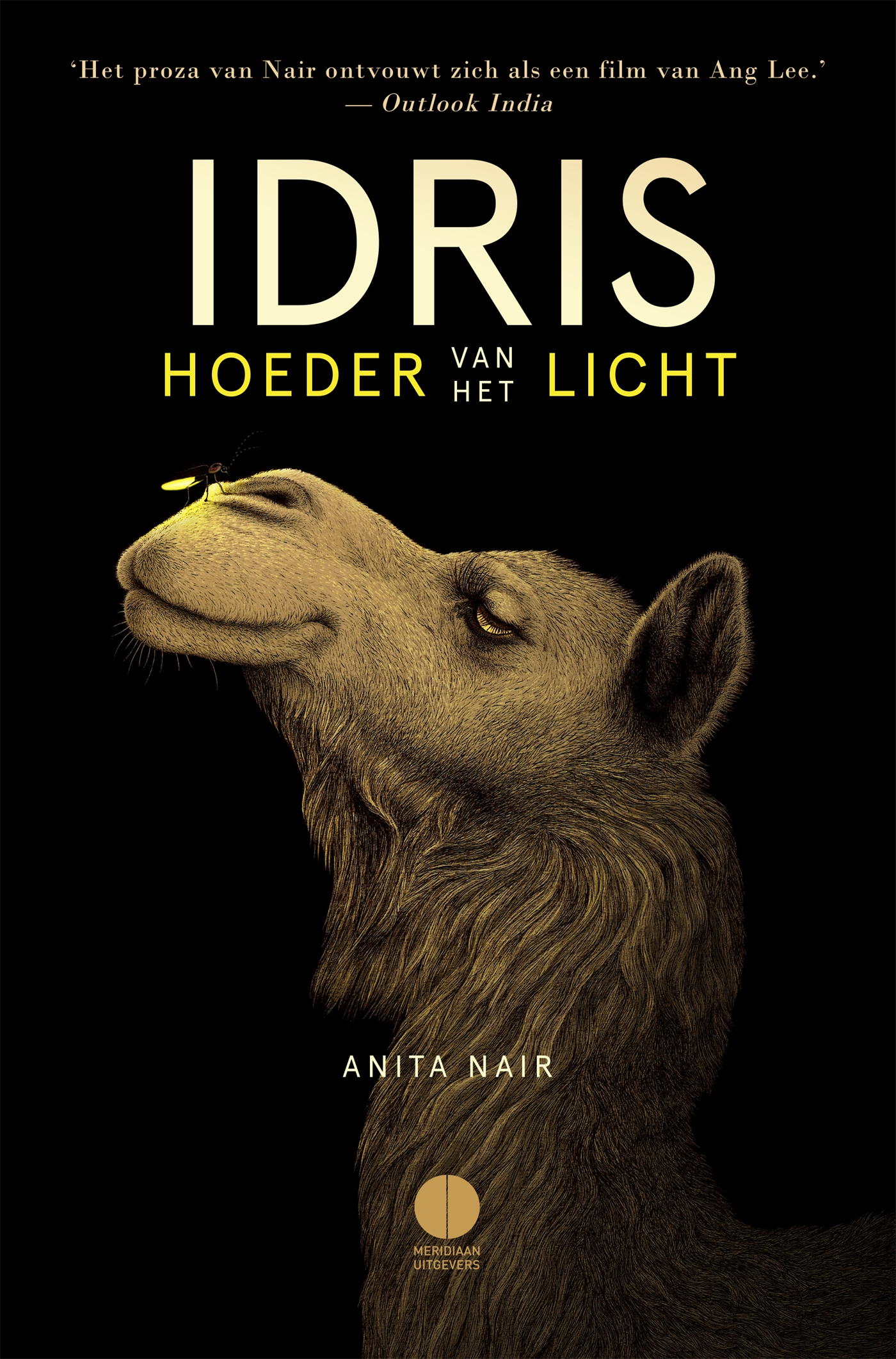 Omslag van Idris, hoeder van het licht