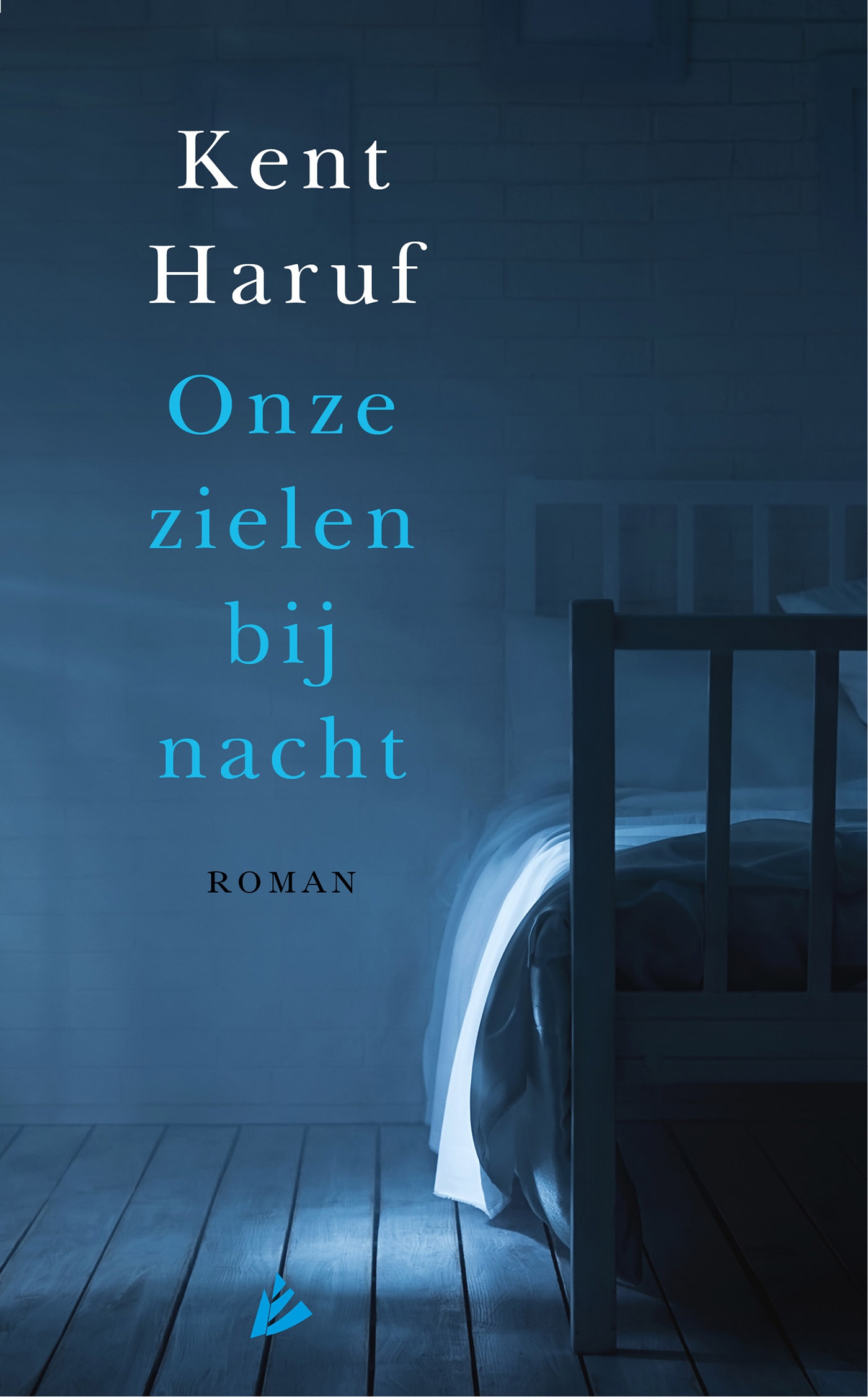 Omslag van Onze zielen bij nacht