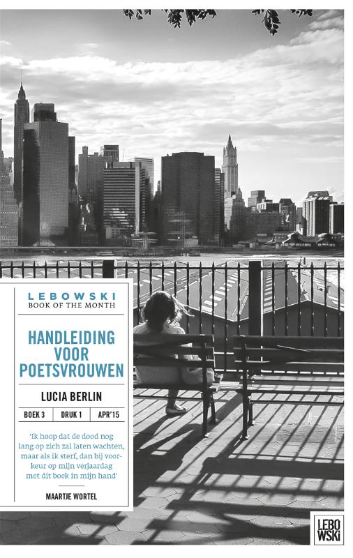 Omslag van Handleiding voor poetsvrouwen