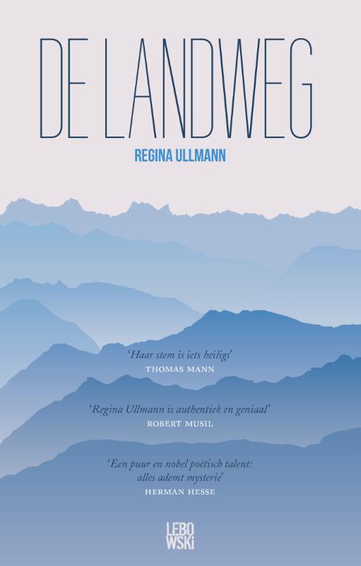 Omslag van De landweg