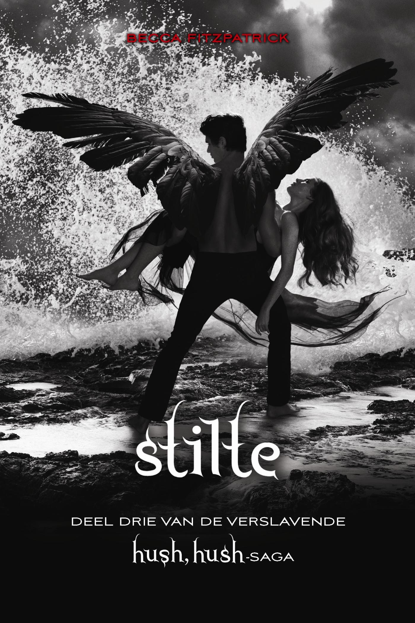 Omslag van Stilte