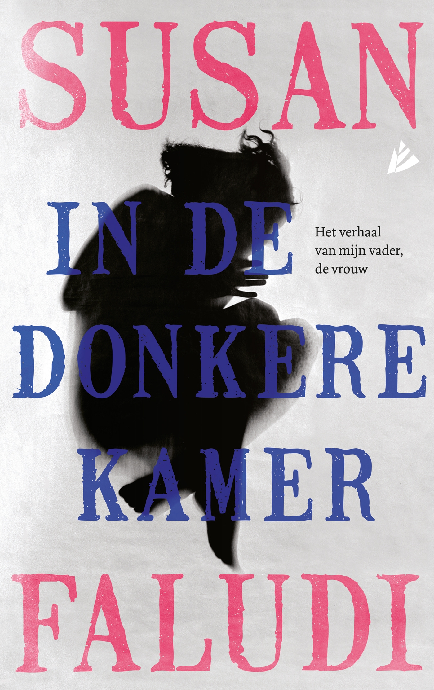 Omslag van In de donkere kamer