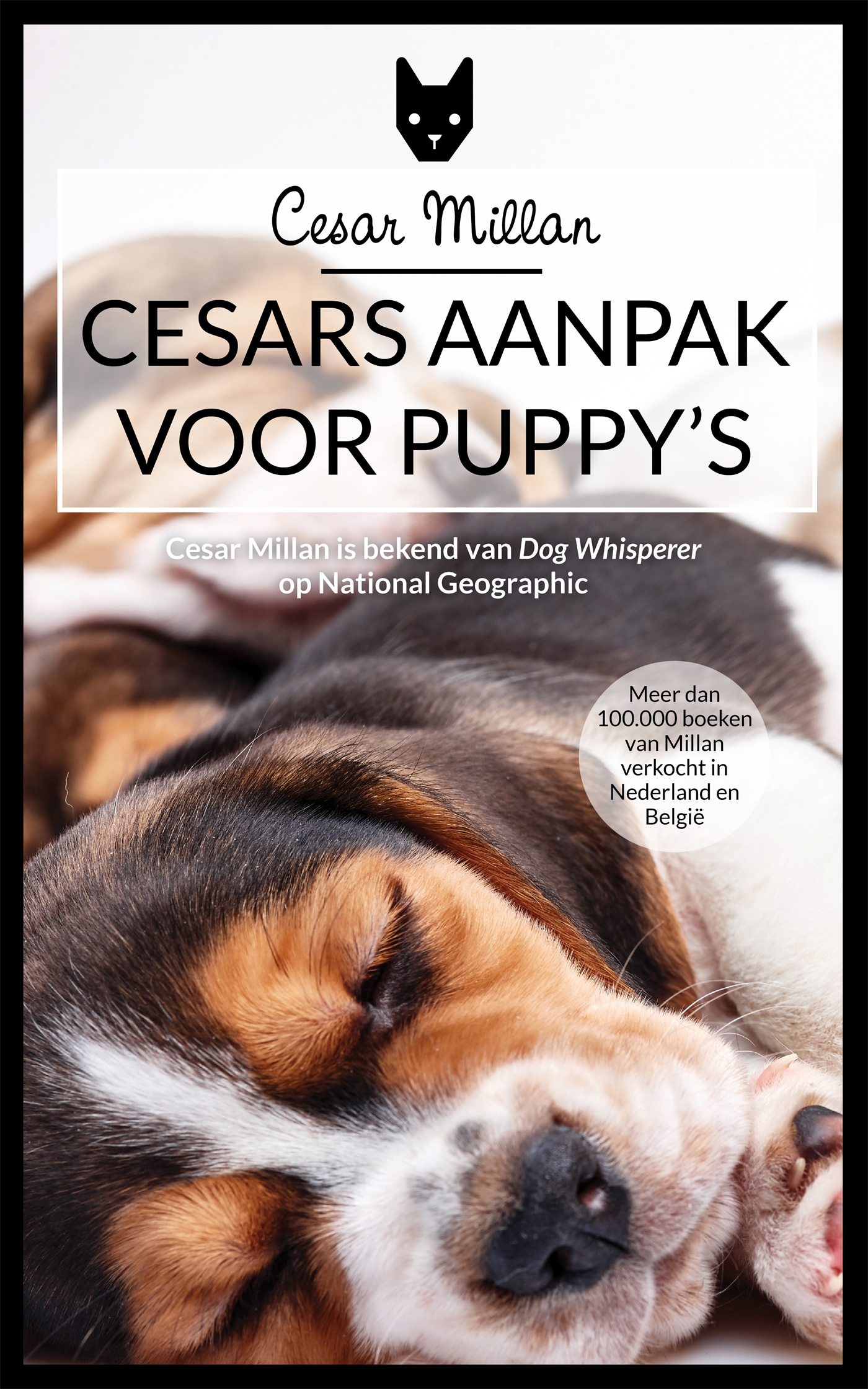Omslag van Cesars aanpak voor puppy's