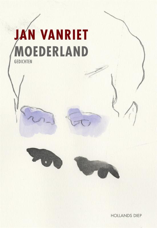 Omslag van Moederland