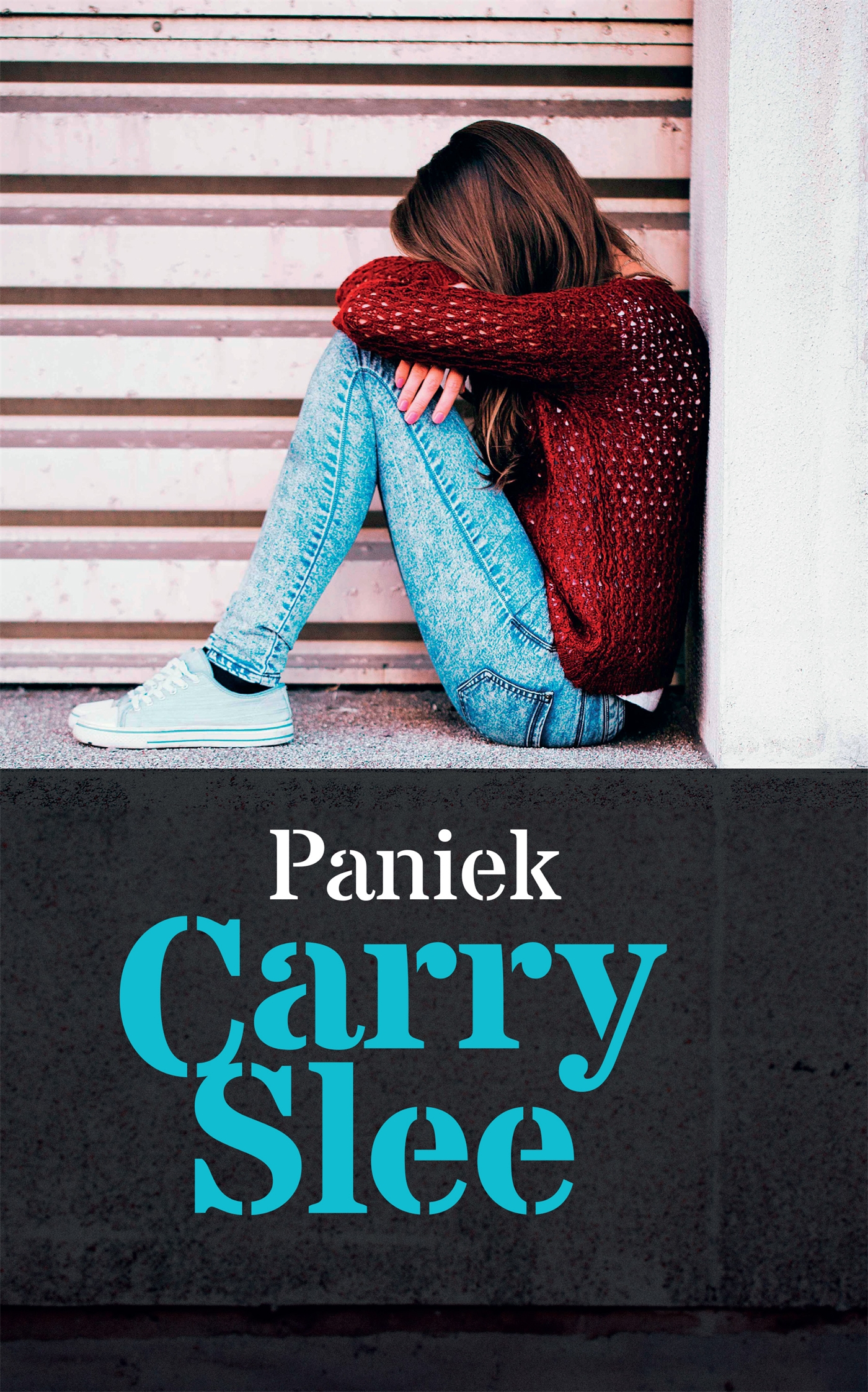 Omslag van Paniek