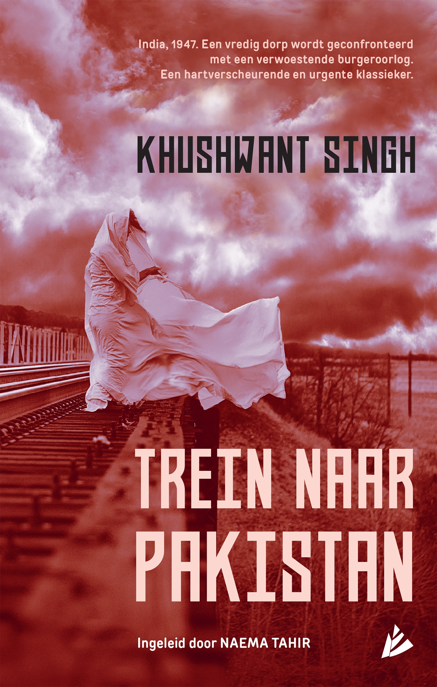 Omslag van Trein naar Pakistan