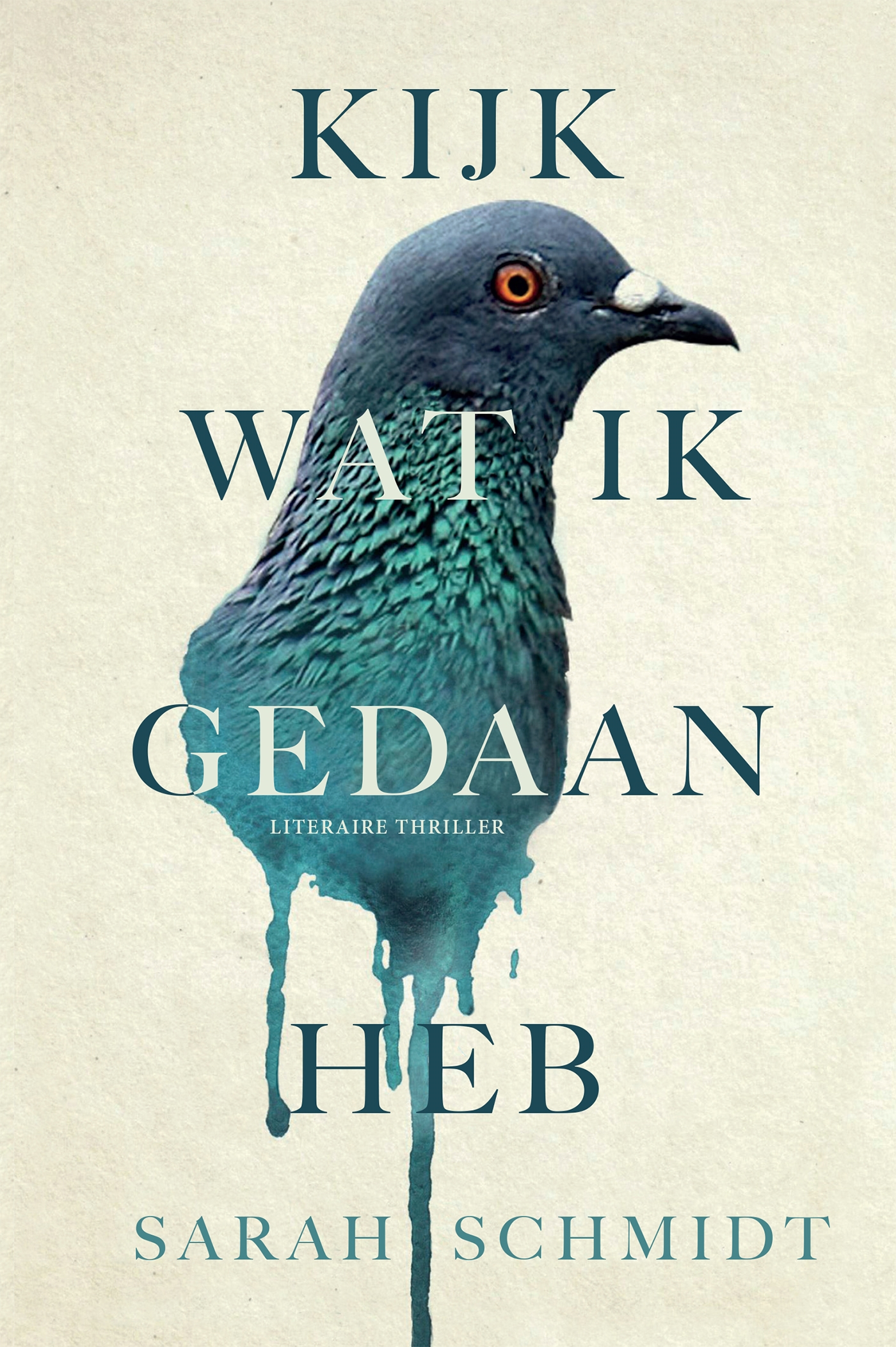 Omslag van Kijk wat ik gedaan heb