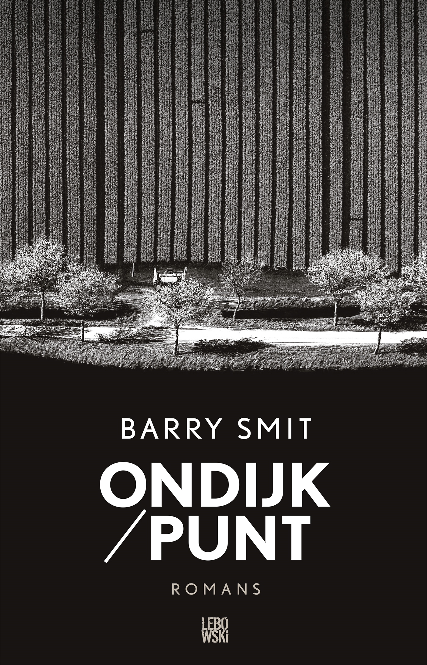 Omslag van Ondijk/Punt