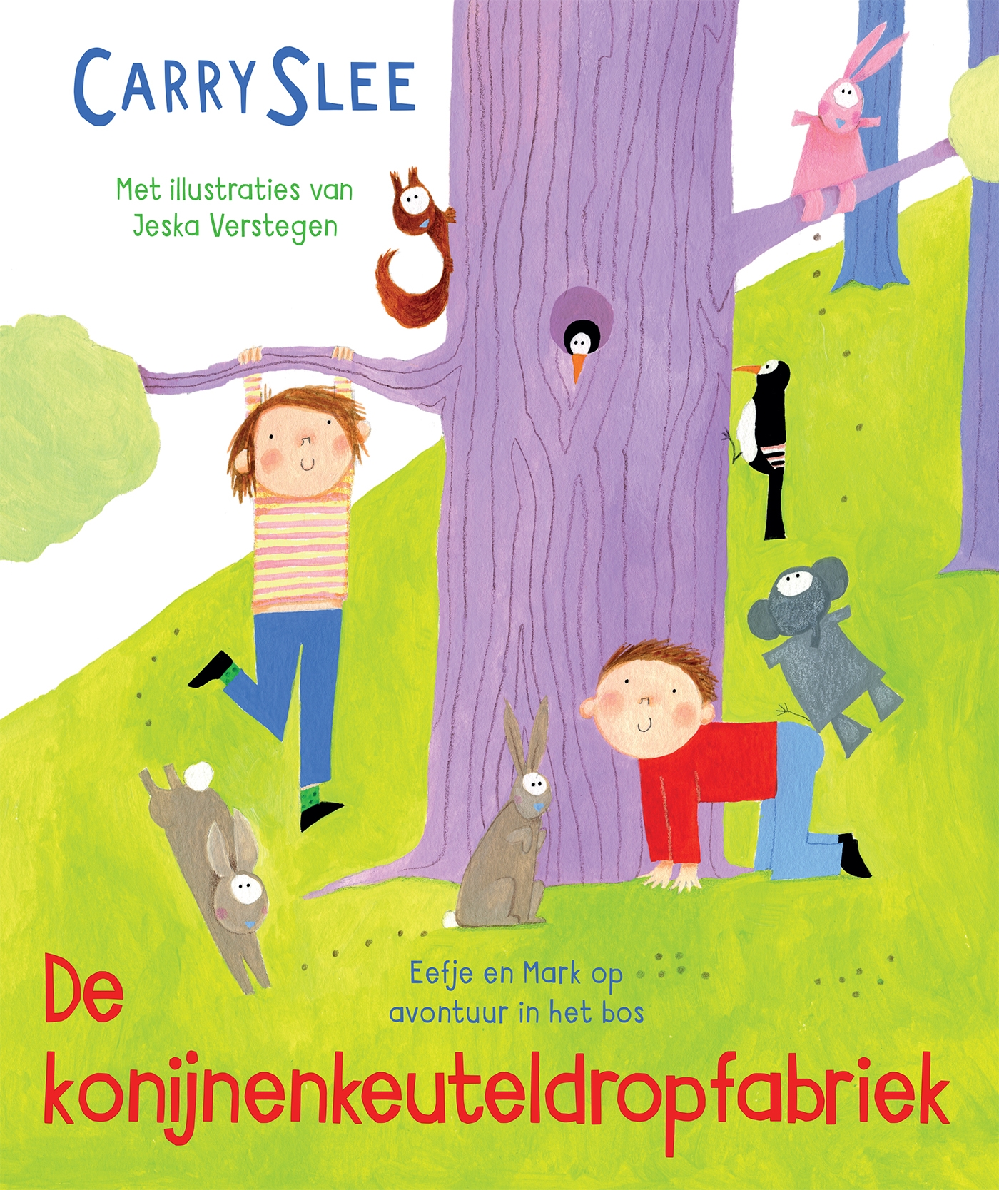 Omslag van De konijnenkeuteldropfabriek