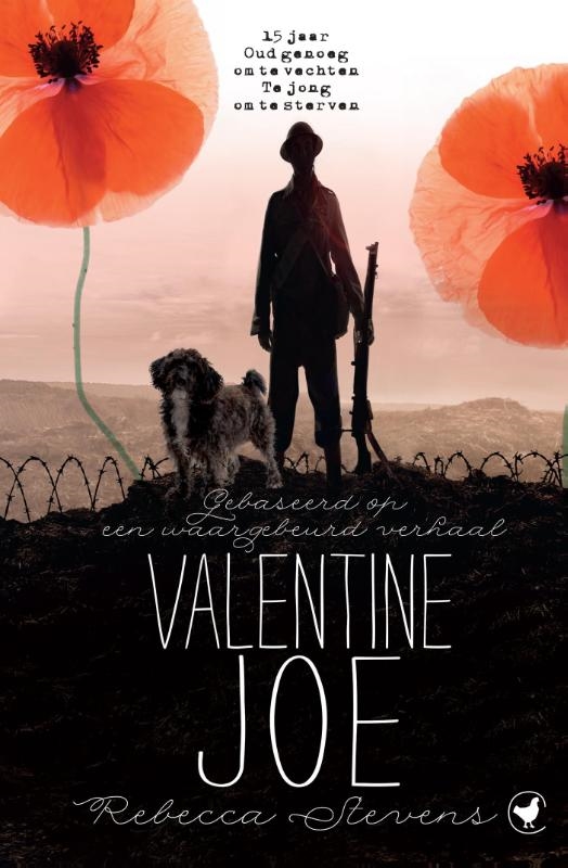 Omslag van Valentine Joe