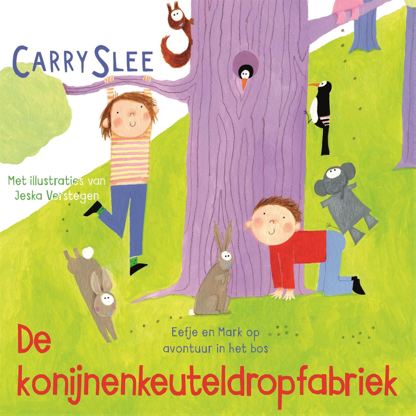 Omslag van De konijnenkeuteldropfabriek