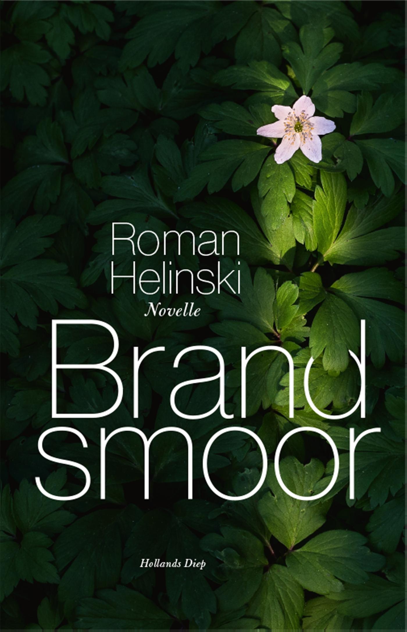 Omslag van Brandsmoor