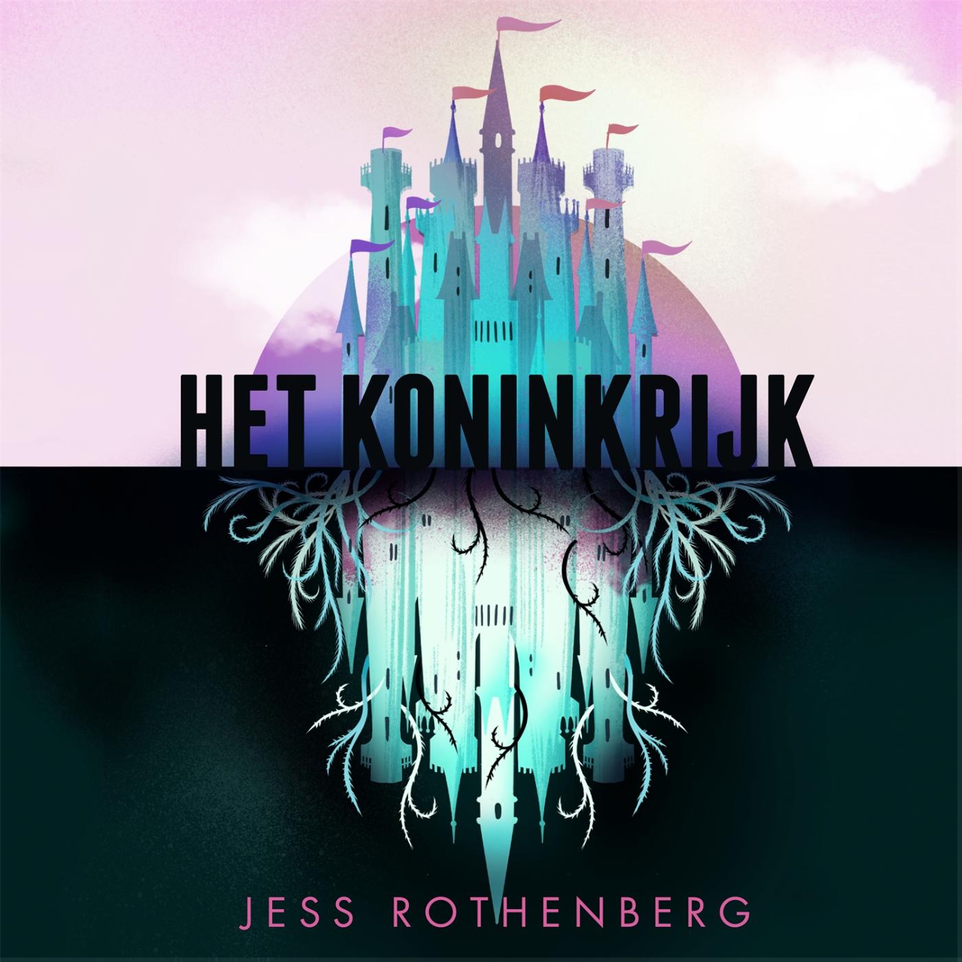 Omslag van Het Koninkrijk
