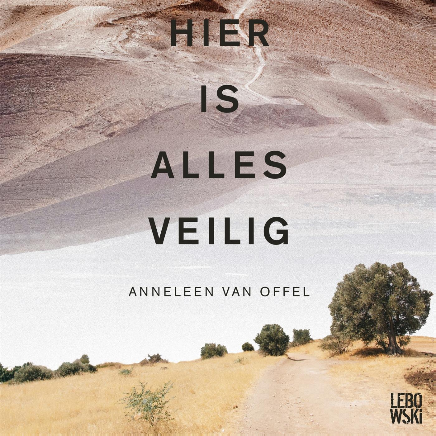 Omslag van Hier is alles veilig