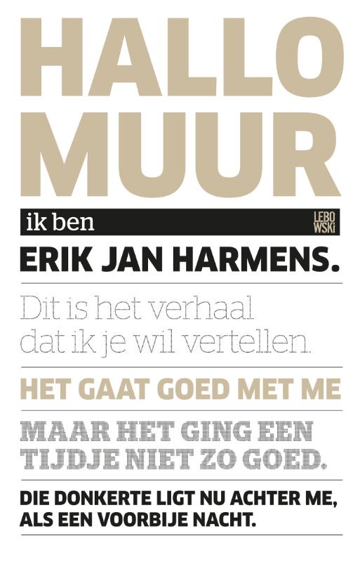 Omslag van Hallo, muur