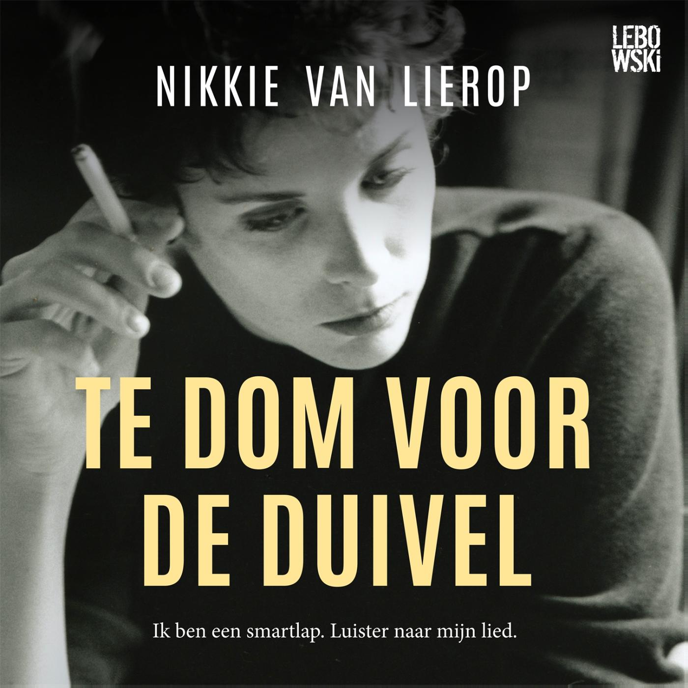 Omslag van Te dom voor de duivel